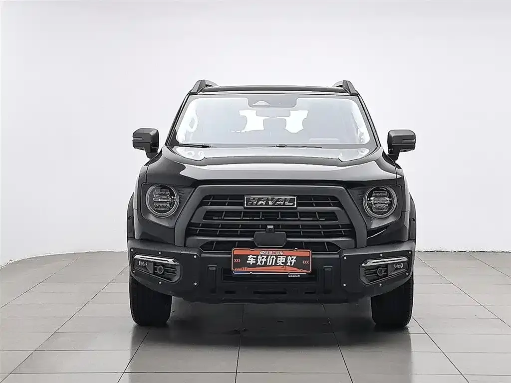 Haval Big Dog 2023 из CN, фото 8