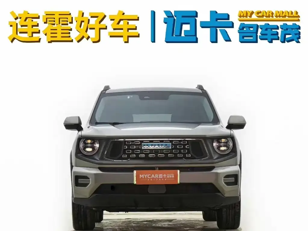 Haval H7 (Big Dog Plus) New Energy 2024 из CN, фото 10