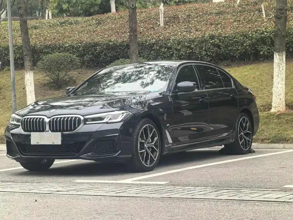 BMW 5 Series — фото 1