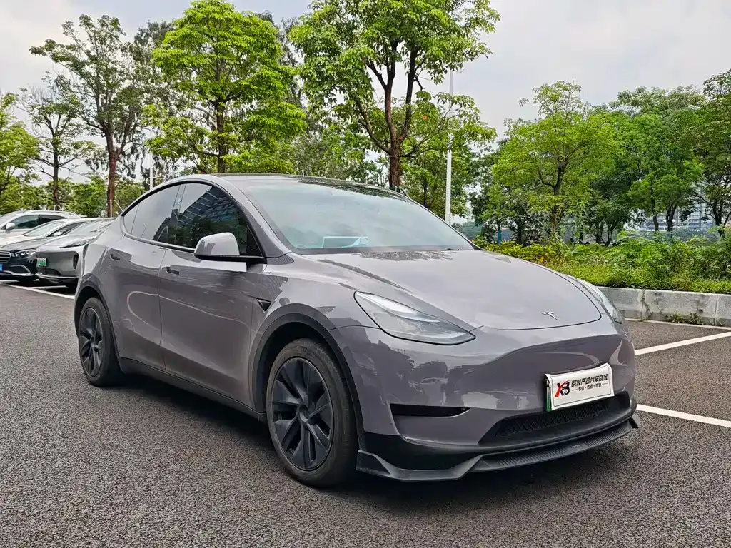 Tesla Model Y — фото 7