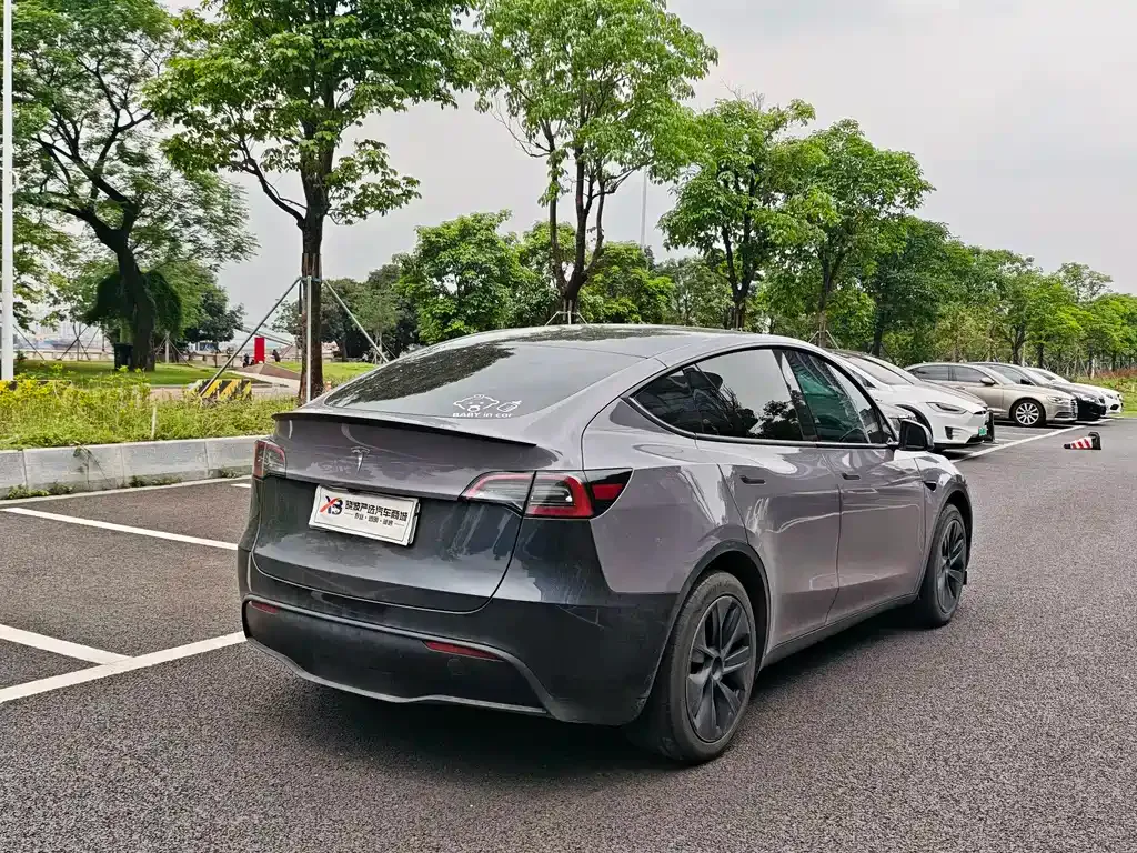 Tesla Model Y — фото 10