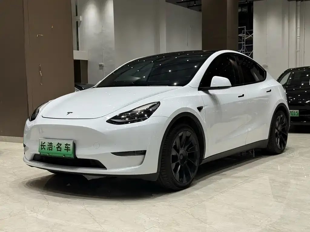 Tesla Model Y — фото 4