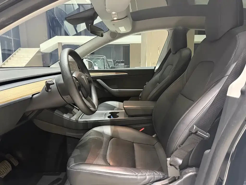 Tesla Model Y — фото 8