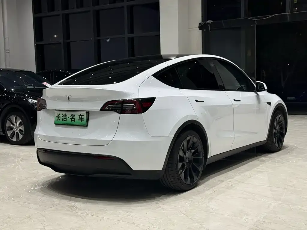 Tesla Model Y — фото 6
