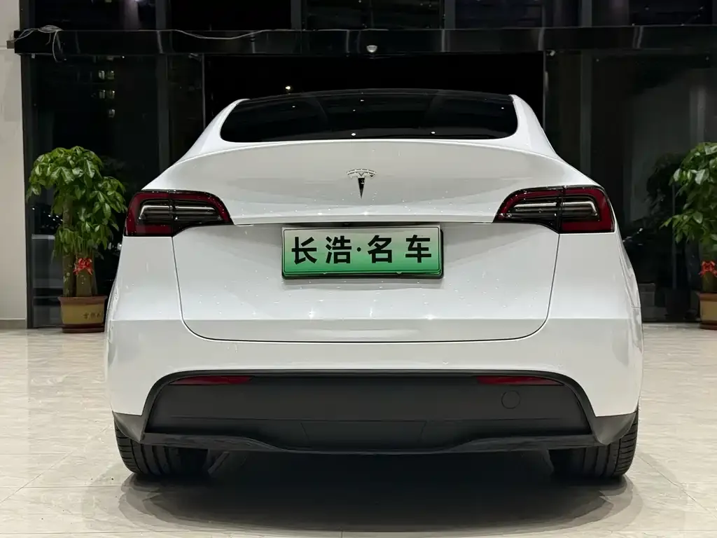 Tesla Model Y — фото 5