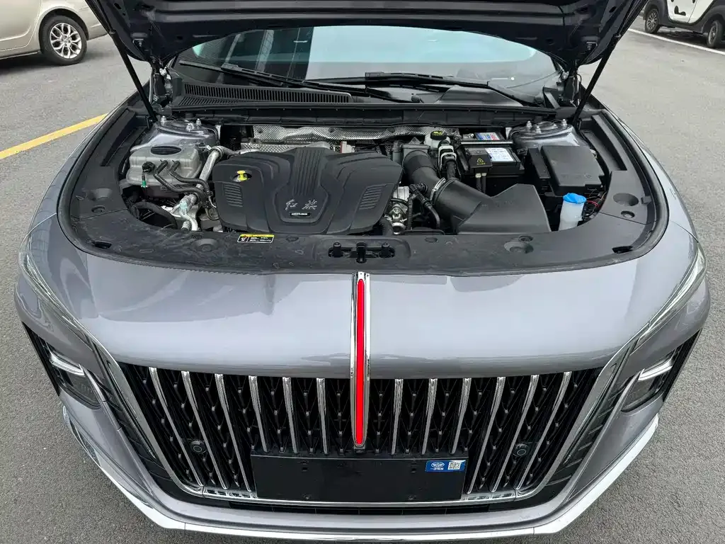 Hongqi H5 2024 из CN, фото 6