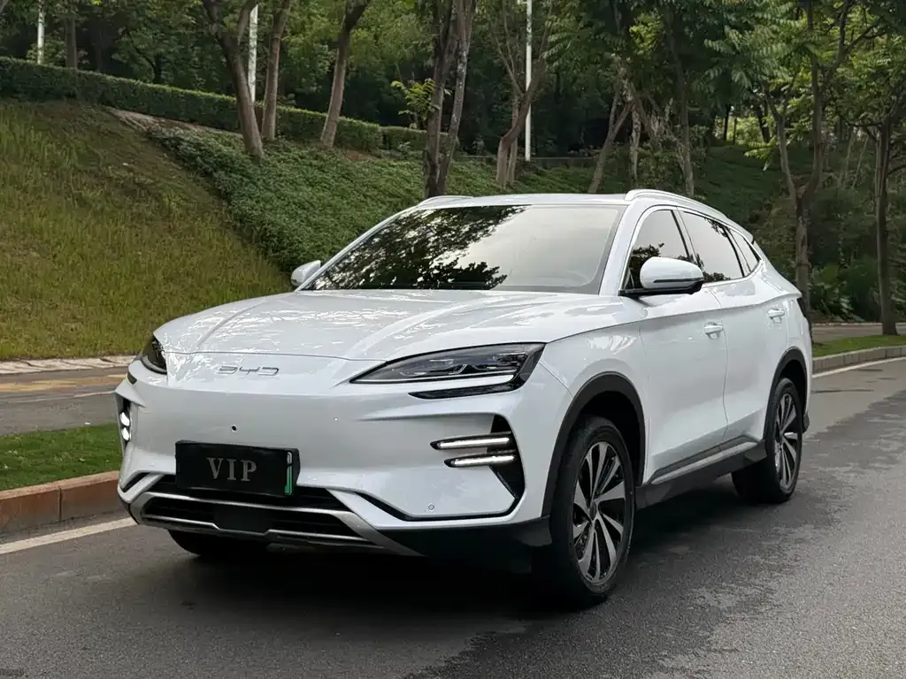 BYD PLUS New Energy — фото 1