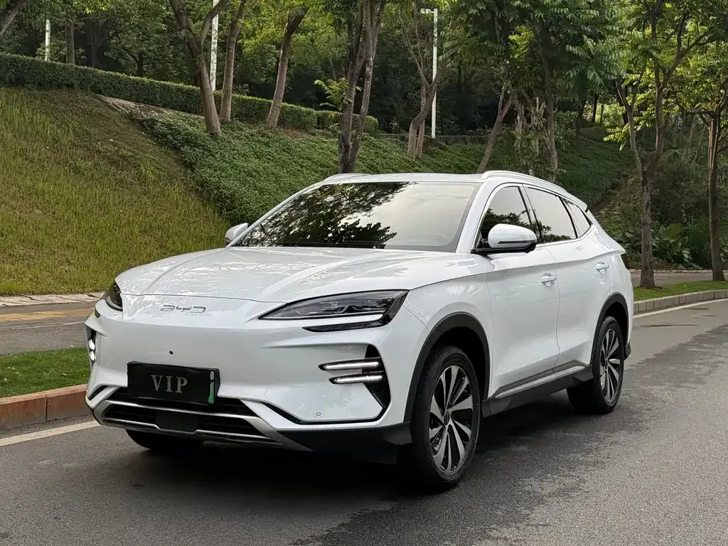 BYD PLUS New Energy — фото 10