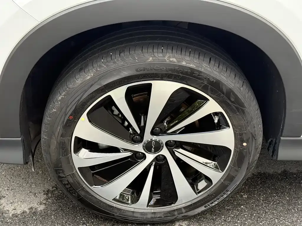 BYD PLUS New Energy — фото 4