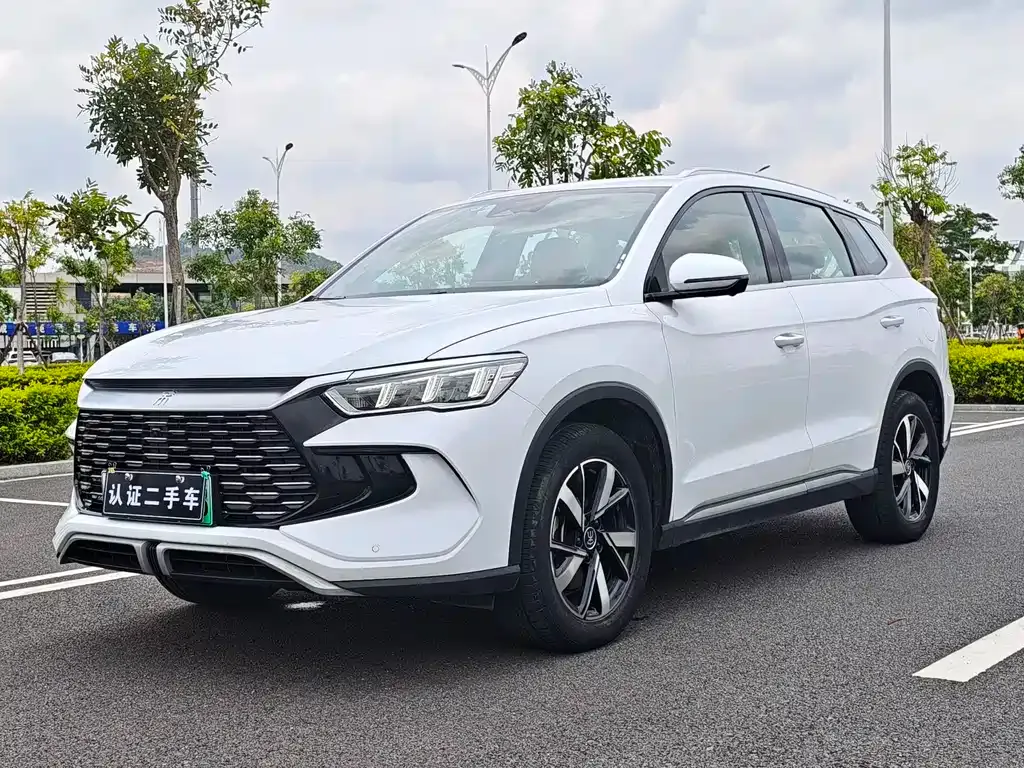 BYD Pro New Energy