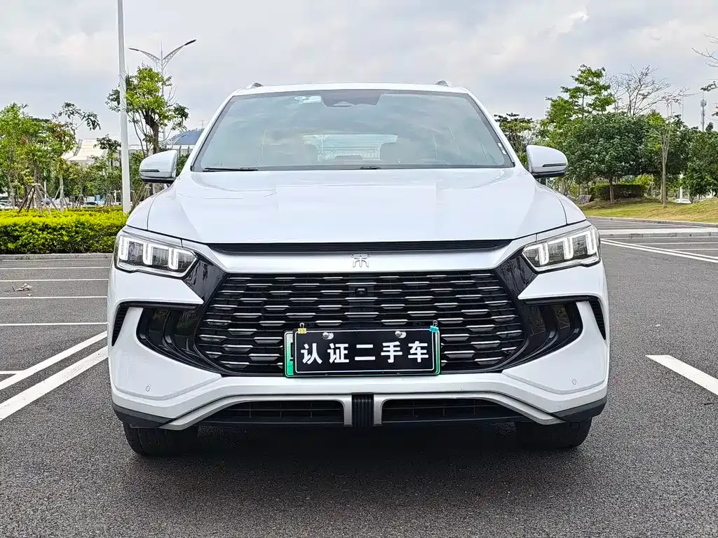 BYD Pro New Energy 2023 из CN, фото 9