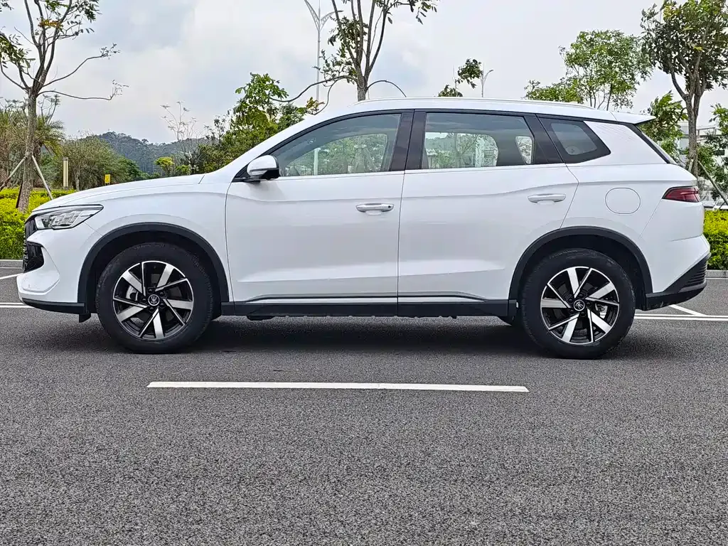 BYD Pro New Energy 2023 из CN, фото 8