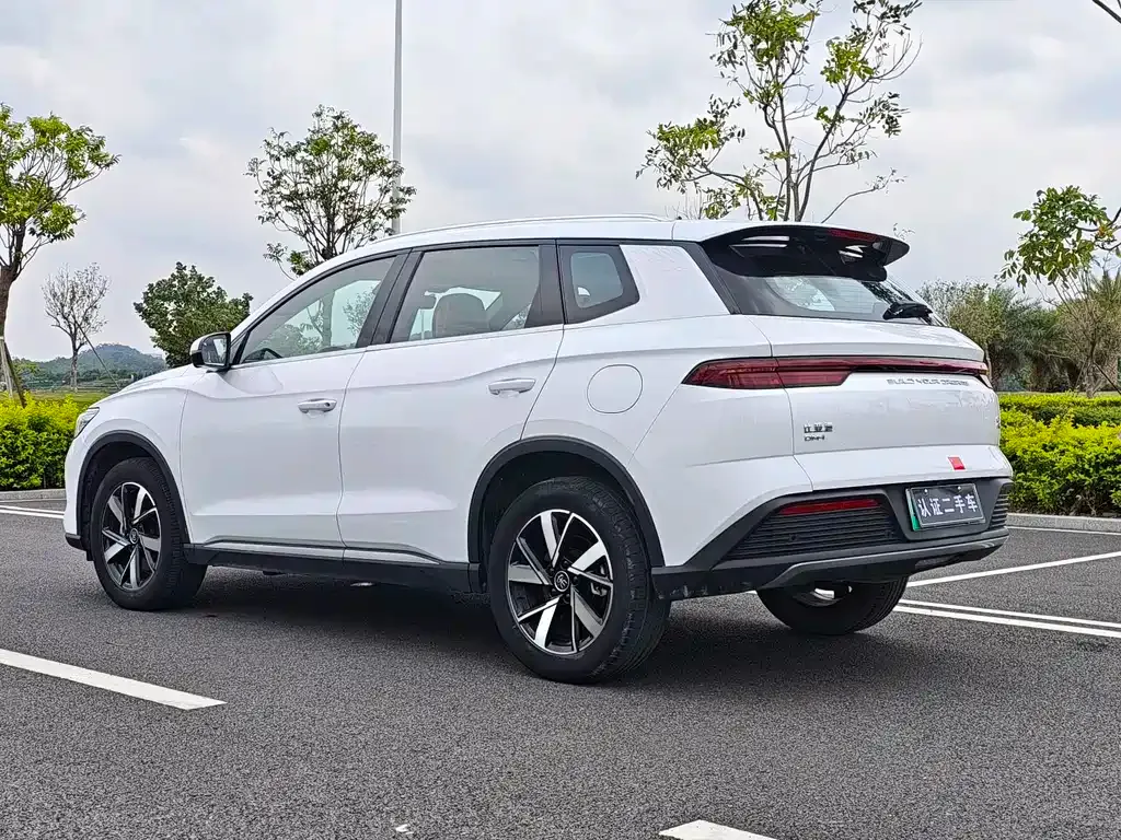 BYD Pro New Energy 2023 из CN, фото 6