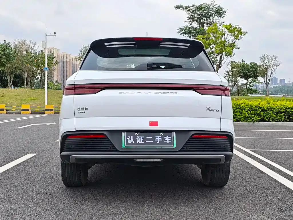 BYD Pro New Energy 2023 из CN, фото 4
