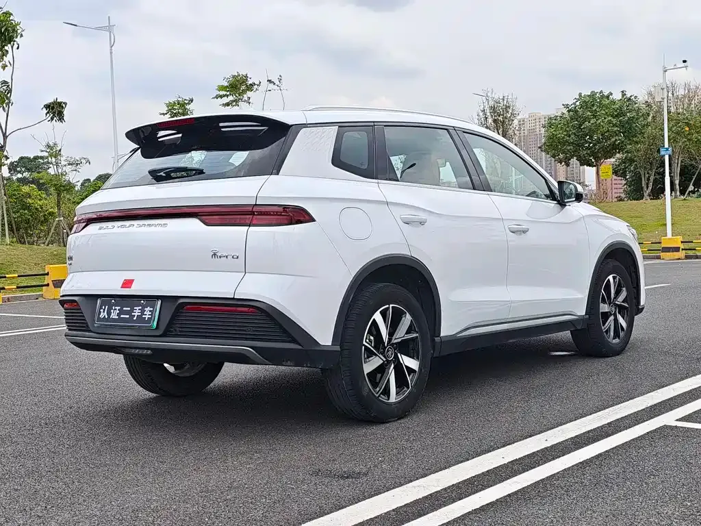 BYD Pro New Energy 2023 из CN, фото 7