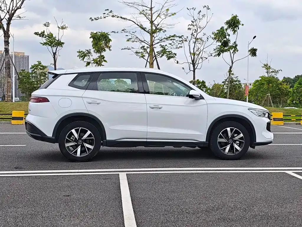 BYD Pro New Energy 2023 из CN, фото 10