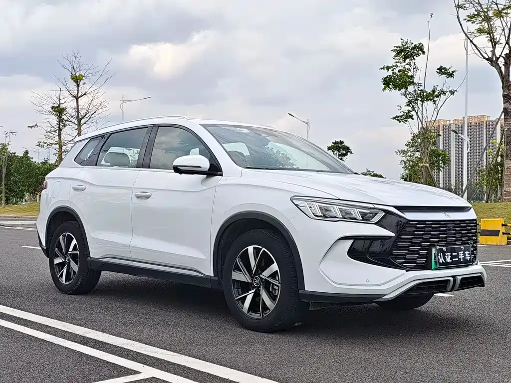 BYD Pro New Energy 2023 из CN, фото 5