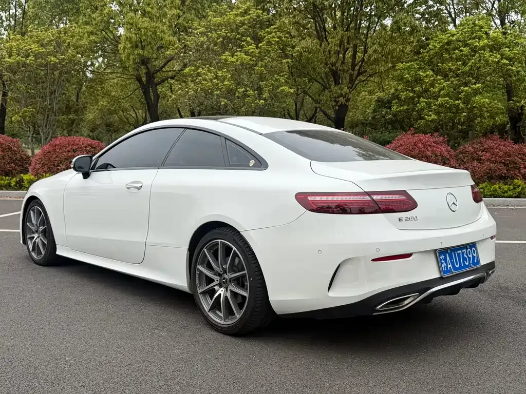 Mercedes-Benz E-Class (Import) — фото 8