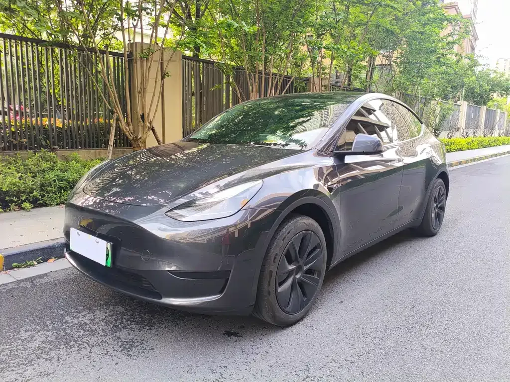 Tesla Model Y 2025 из CN, фото 1