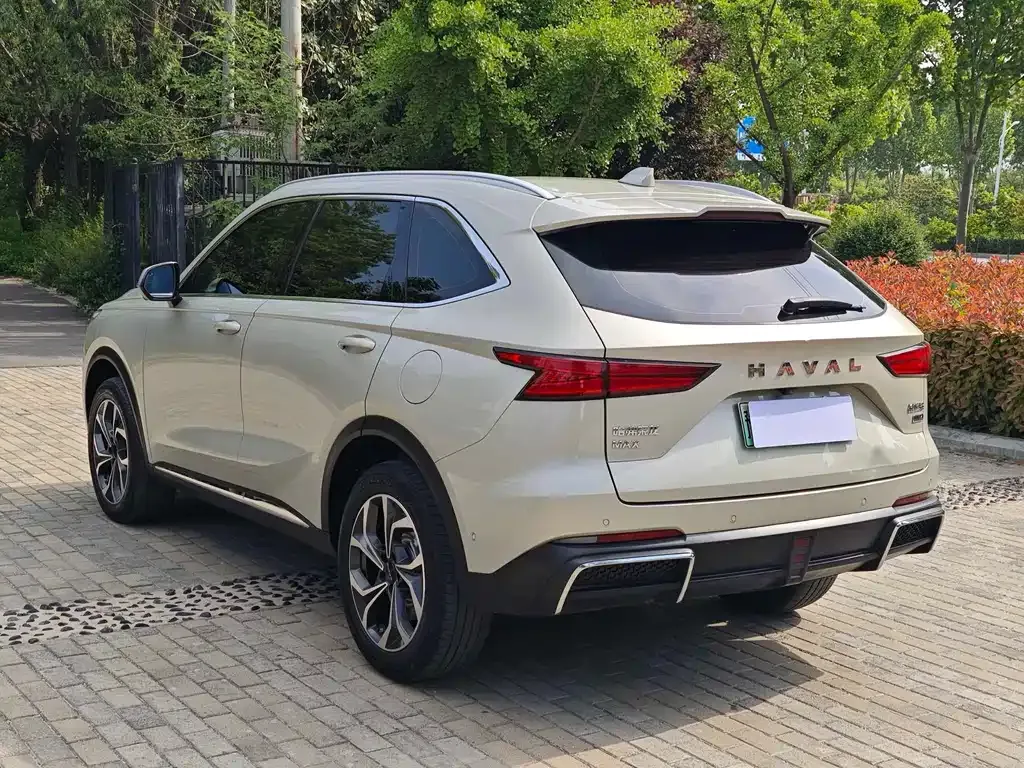 Haval Xiaolong MAX — фото 9