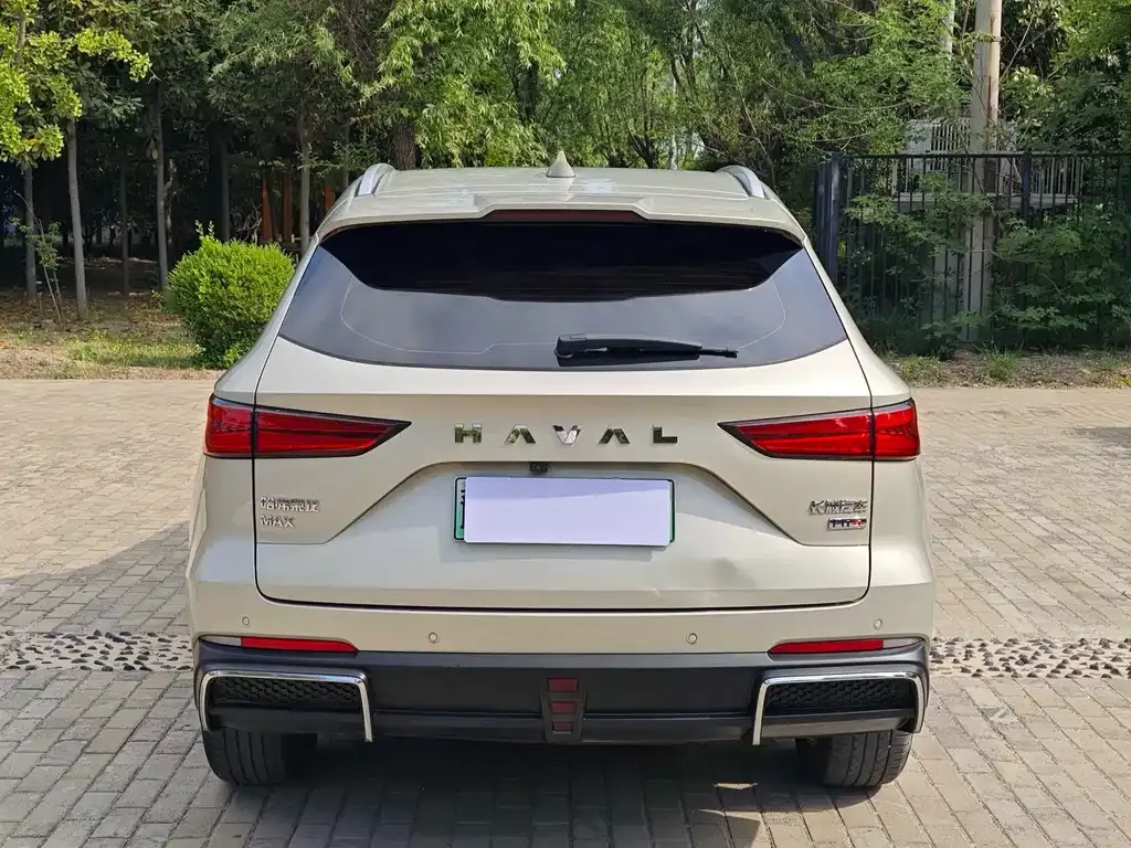 Haval Xiaolong MAX — фото 8