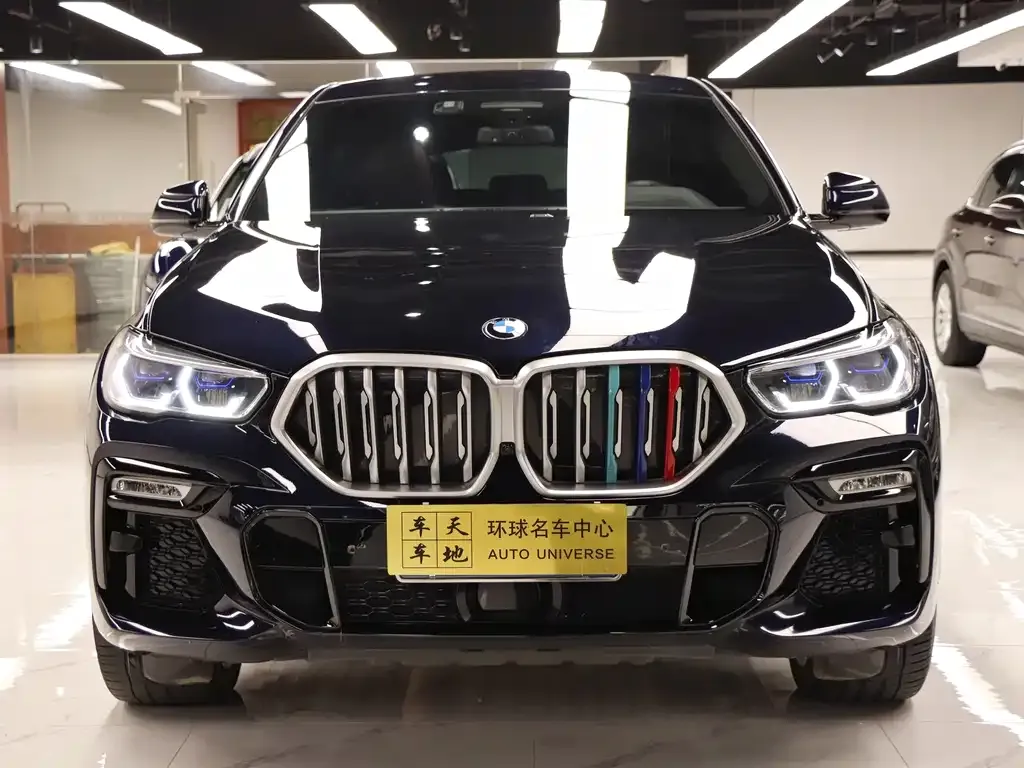 BMW X6 2021 из CN, фото 4