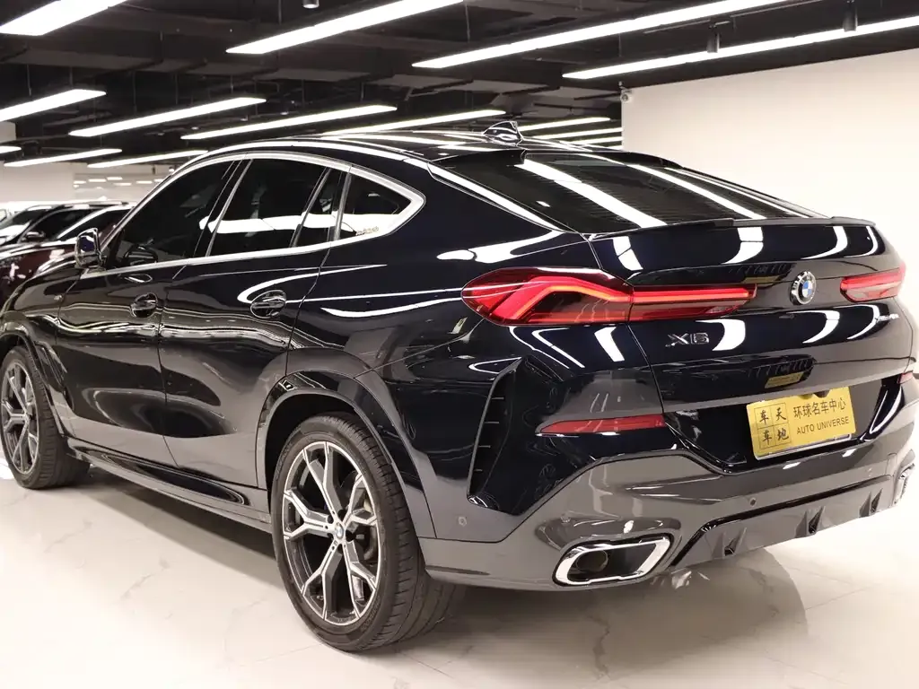 BMW X6 2021 из CN, фото 9