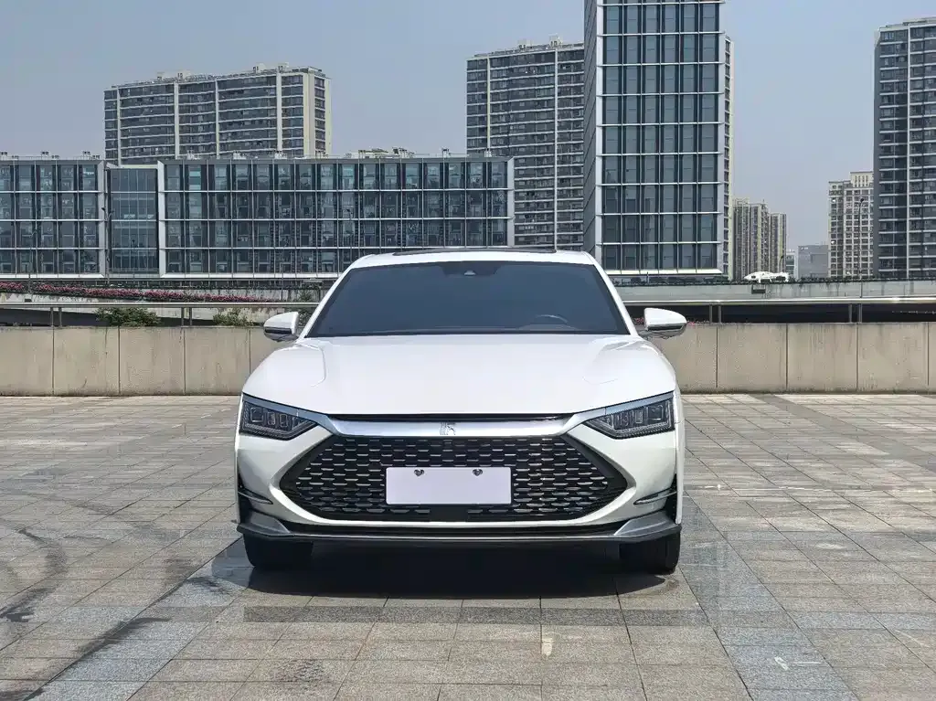 BYD Han — фото 10