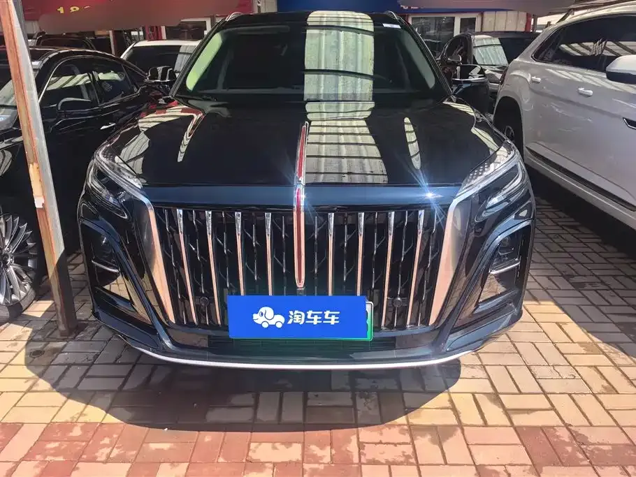 Hongqi HS3 PHEV 2024 из CN, фото 9