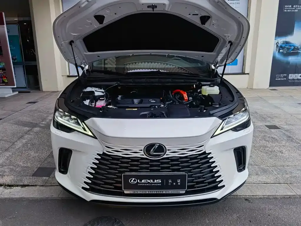 Lexus RX — фото 10