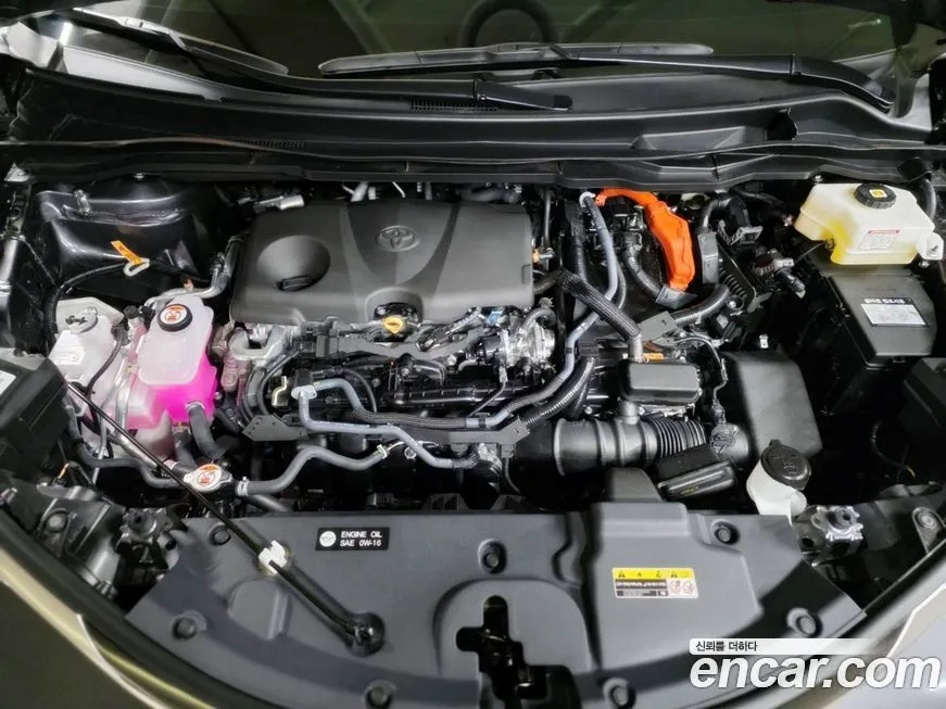 Toyota Sienna 2025 из KR, фото 6