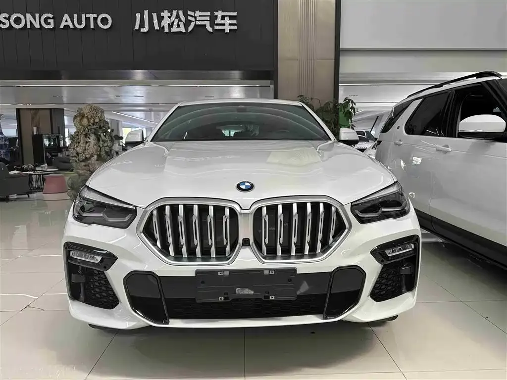 BMW X6 2021 из CN, фото 3