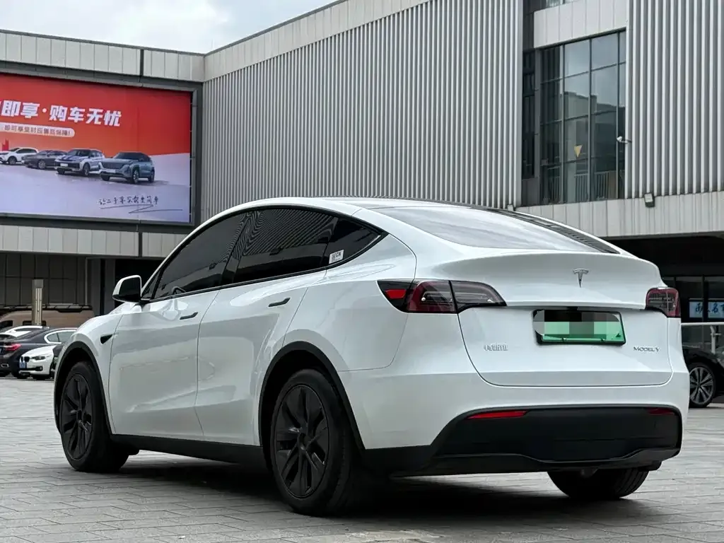 Tesla Model Y 2024 из CN, фото 6