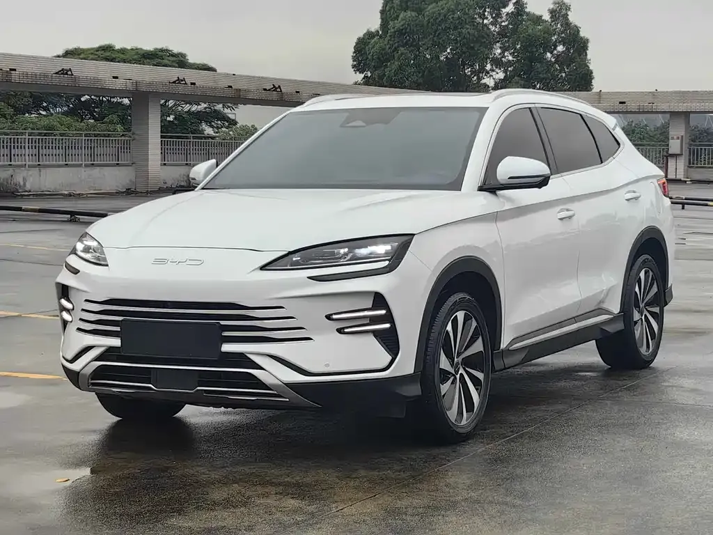 BYD PLUS New Energy — фото 1
