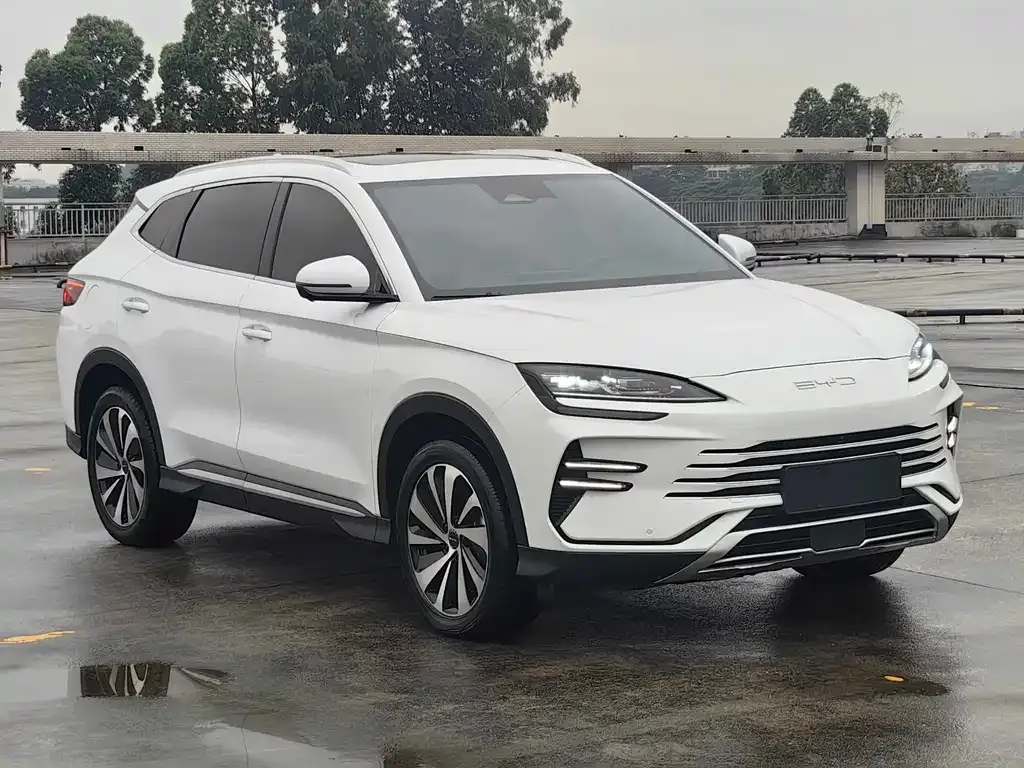 BYD PLUS New Energy — фото 10