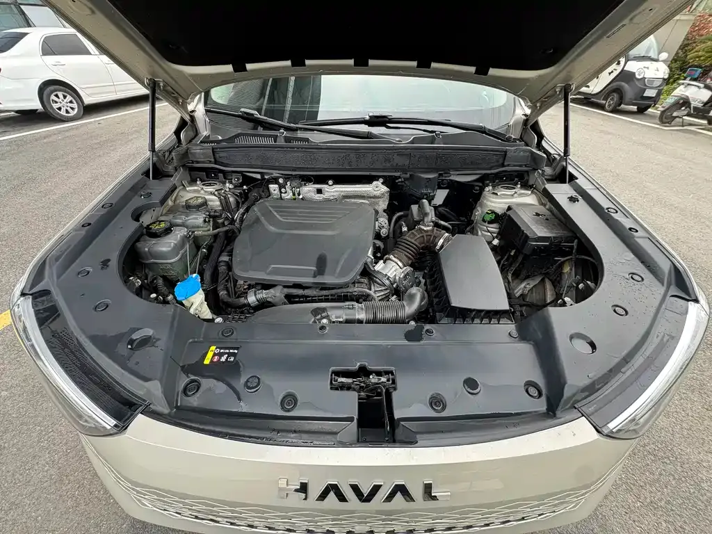 Haval Xiaolong MAX 2023 из CN, фото 10