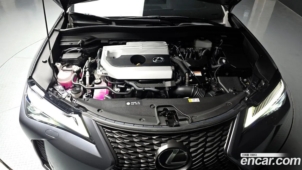 Lexus UX 2024 из KR, фото 8