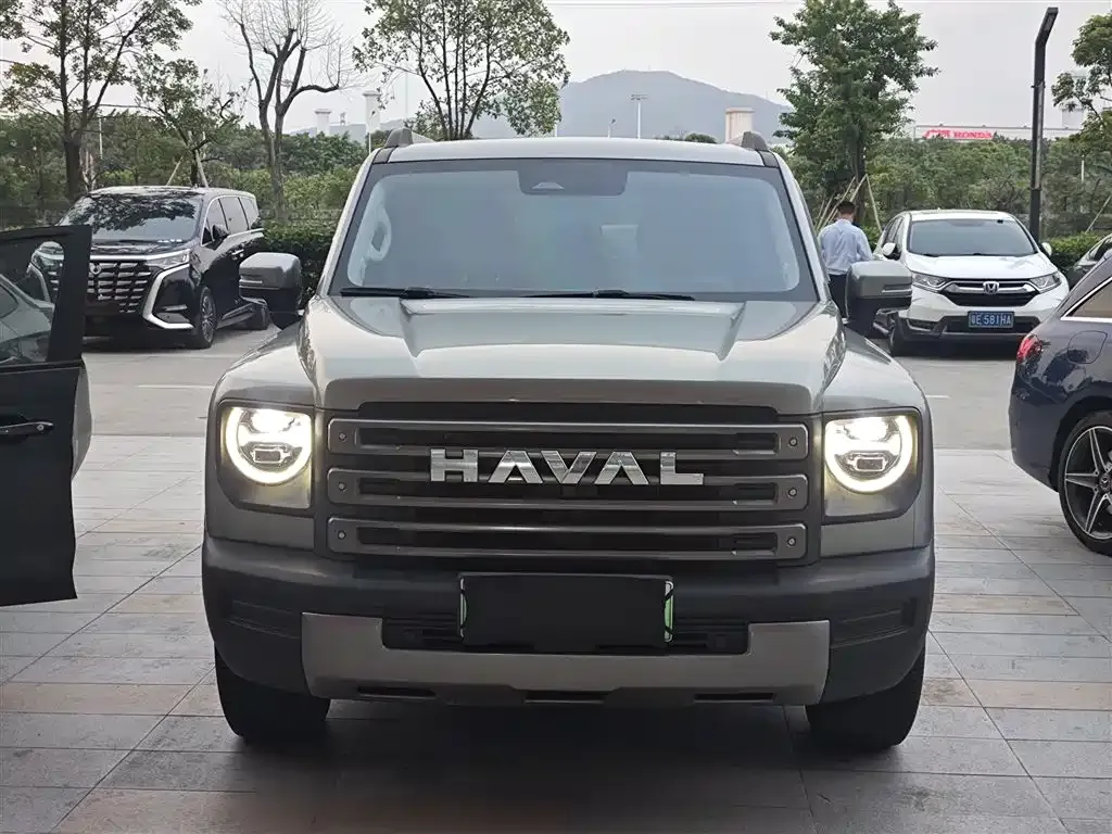 Haval Menglong New Energy 2023 из CN, фото 5