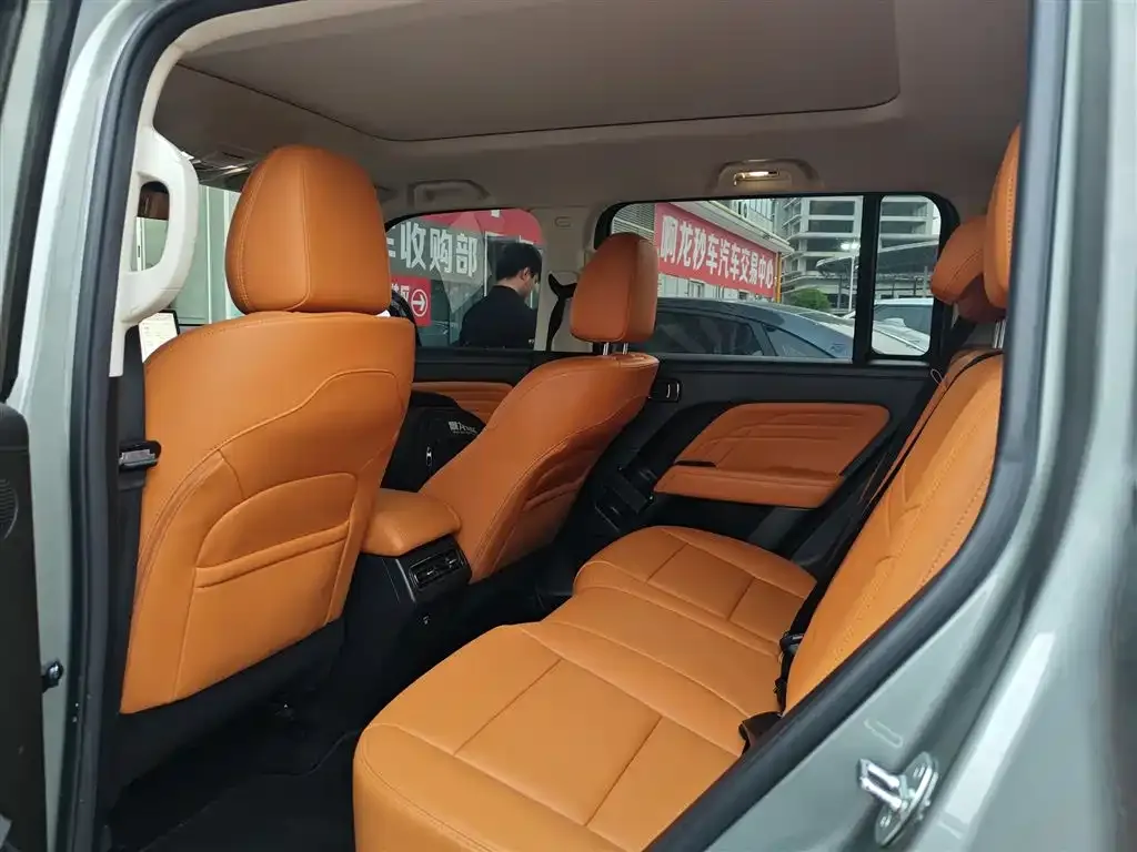 Haval Menglong New Energy 2023 из CN, фото 2