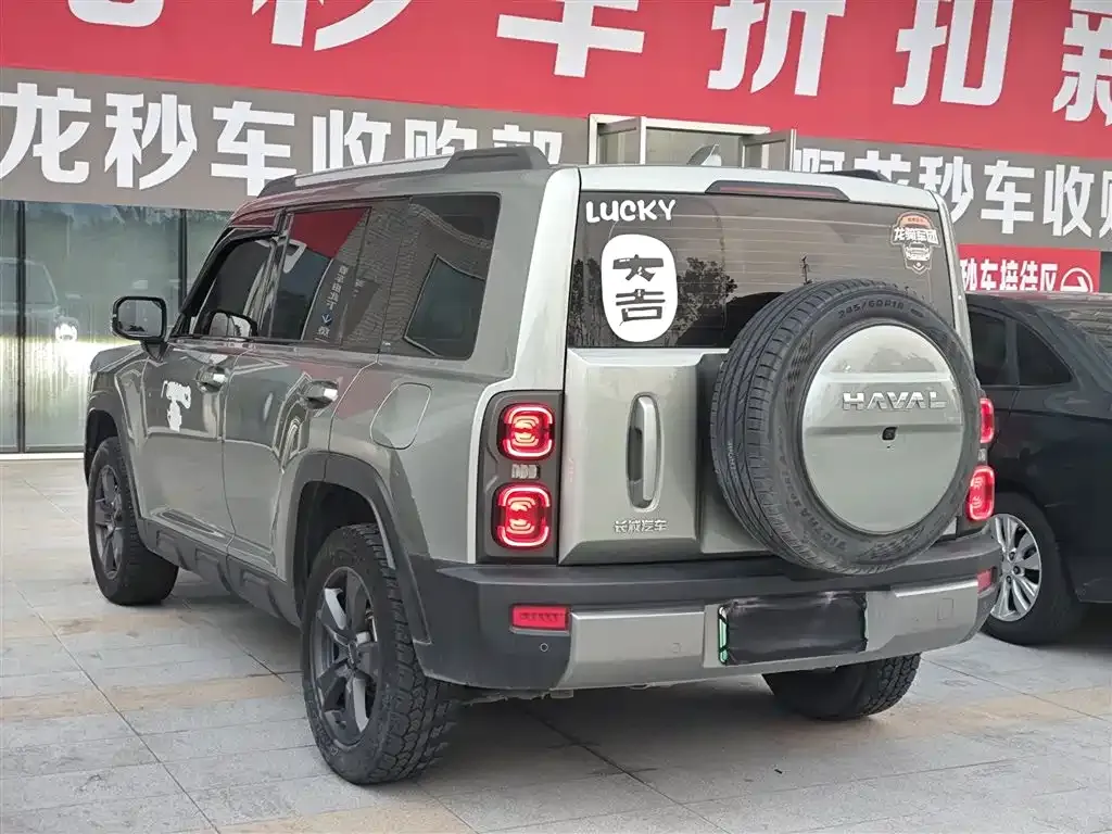 Haval Menglong New Energy 2023 из CN, фото 7