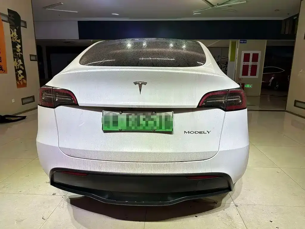 Tesla Model Y — фото 2