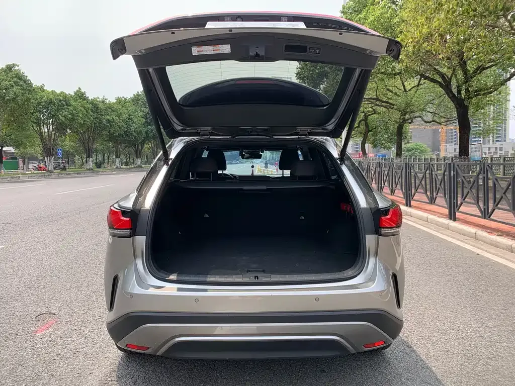 Lexus RX 2024 из CN, фото 5