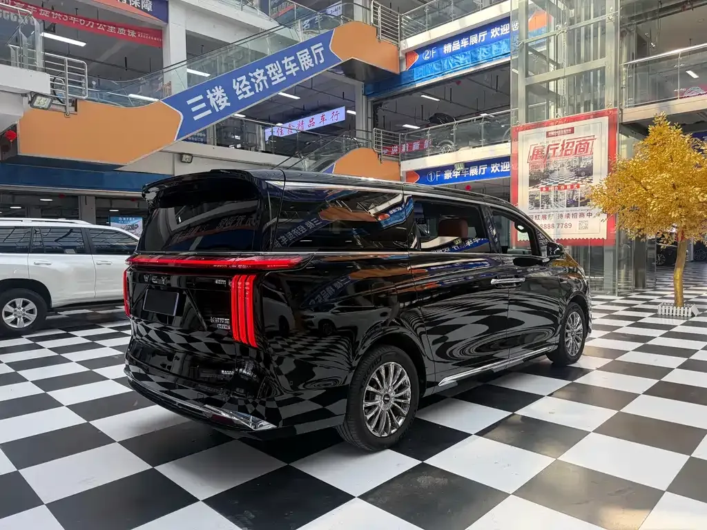 Wey Gaoshan 2025 из CN, фото 4