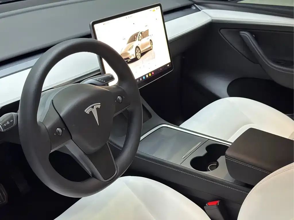 Tesla Model Y — фото 2