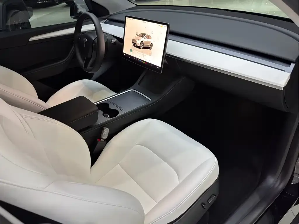 Tesla Model Y — фото 10
