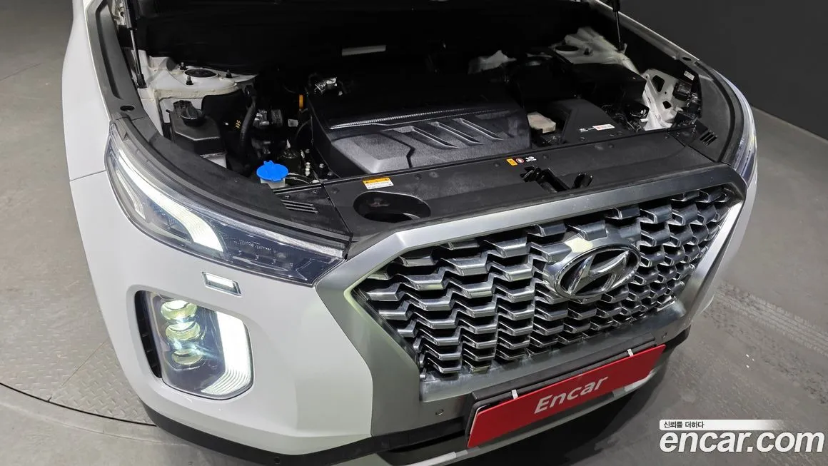 Hyundai Palisade 2021 из KR, фото 8