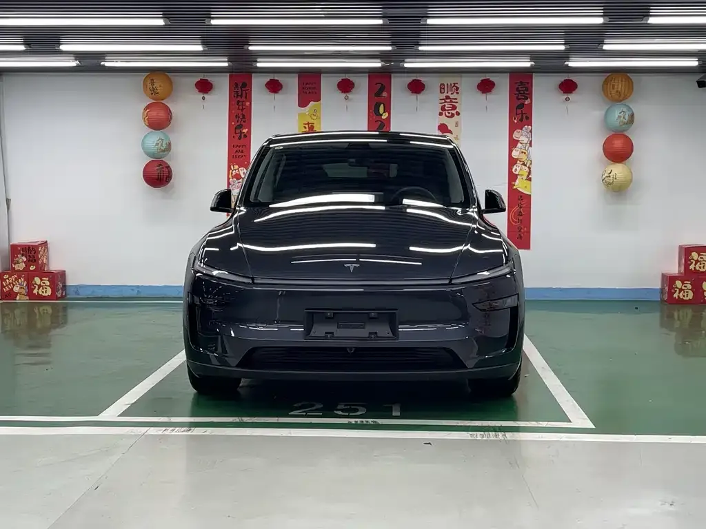 Tesla Model Y 2025 из CN, фото 4