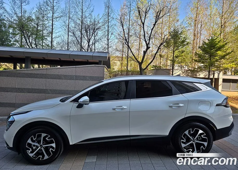 Kia Sportage — фото 9