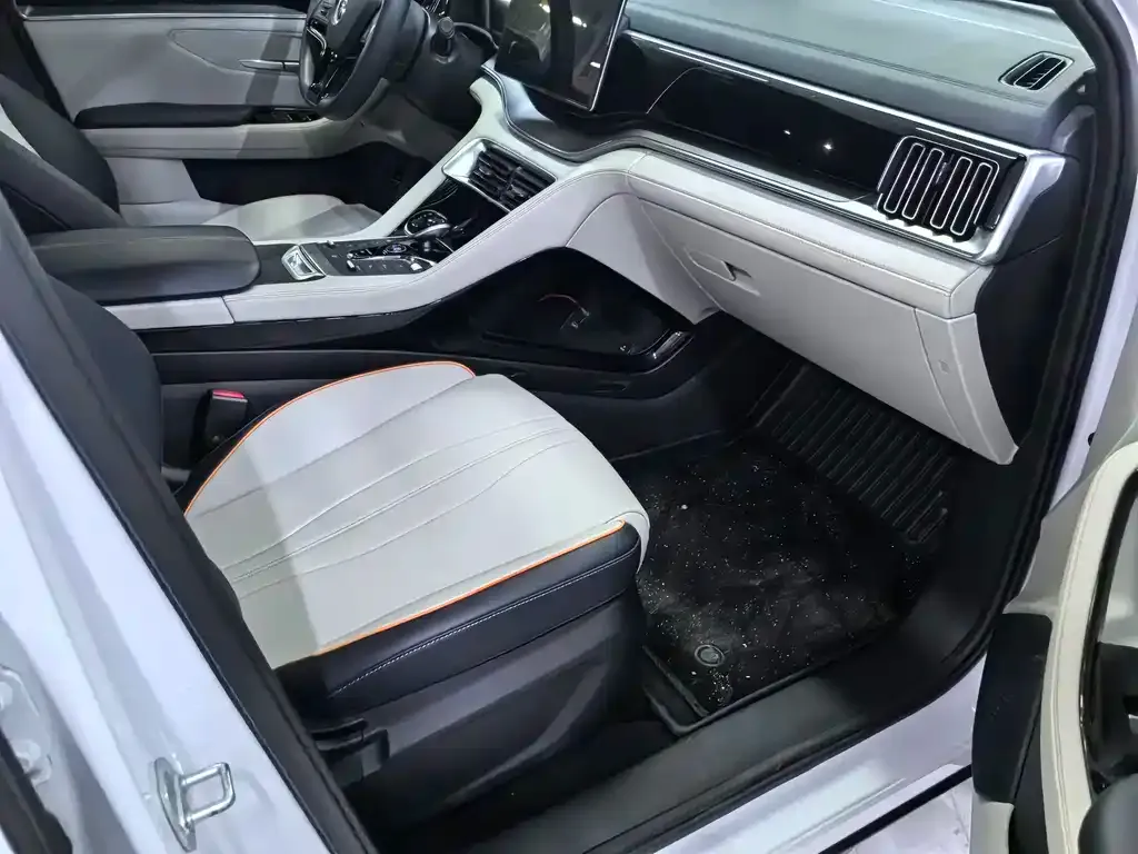 BYD PLUS New Energy 2021 из CN, фото 6