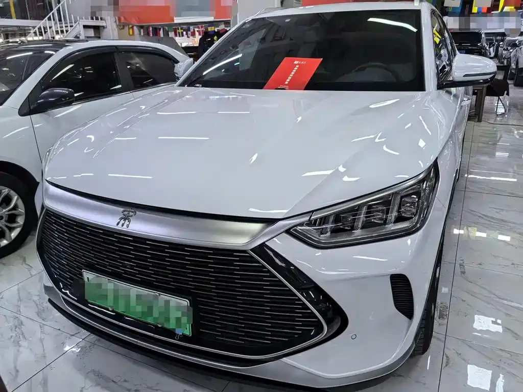 BYD PLUS New Energy 2021 из CN, фото 8